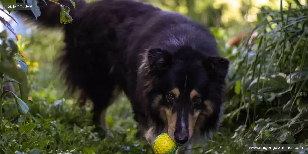 ⚽热血赛事,点燃你的每一刻!🔥